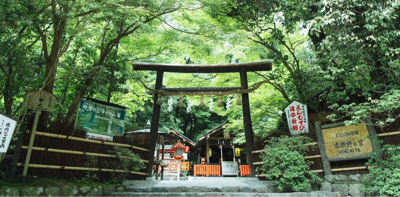 Arashiyama: Visita al Bosque de bambú y sus templos en un día 1 que ver en arashiyama