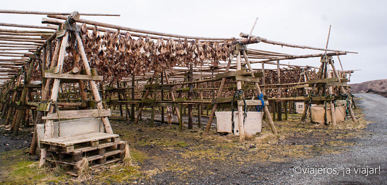 Probar. Secándose pescado