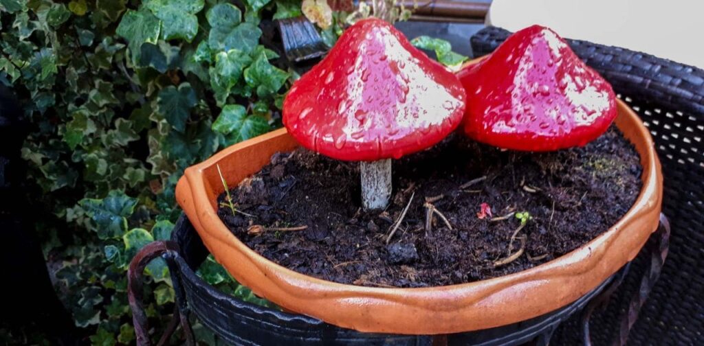 Ruta en coche por Bonn Colonia y Valle del Mosela Múnich