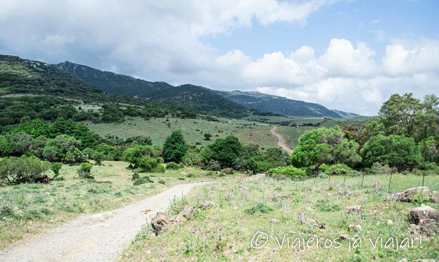 Garganta del capitán
