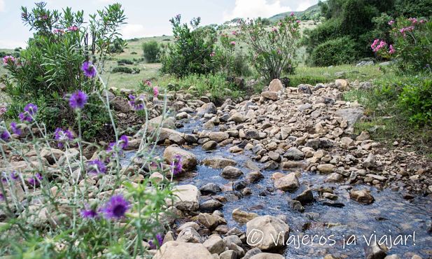 Paseando por la garganta