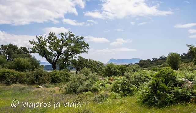 Garganta del capitán