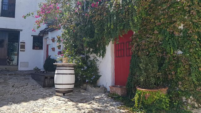 Castellar, Campo de Gibraltar