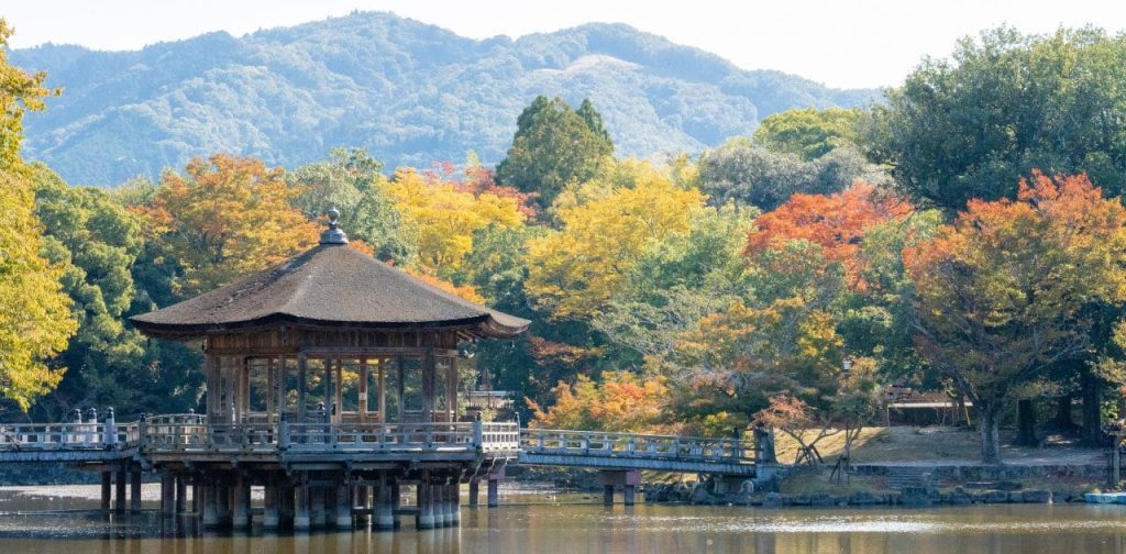 qué ver en Nara en un día