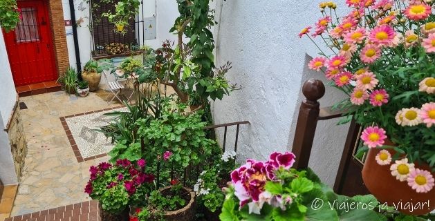 Escapada de 3 días en coche por la Serranía de Ronda, Málaga 10 Flores de Benalauría