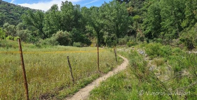 Escapada de 3 días en coche por la Serranía de Ronda, Málaga 7 Sendero por rio Genal