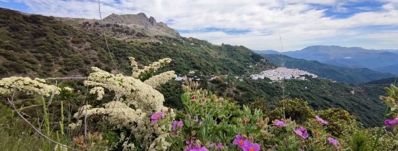 Escapada de 3 días en coche por la Serranía de Ronda, Málaga 1 Ruta por la Serranía de Ronda