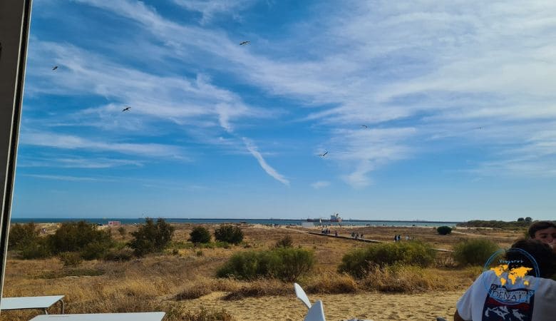 Mejores playas de Huelva: las más bonitas de la Costa de la Luz 7 Mejores playas de Huelva