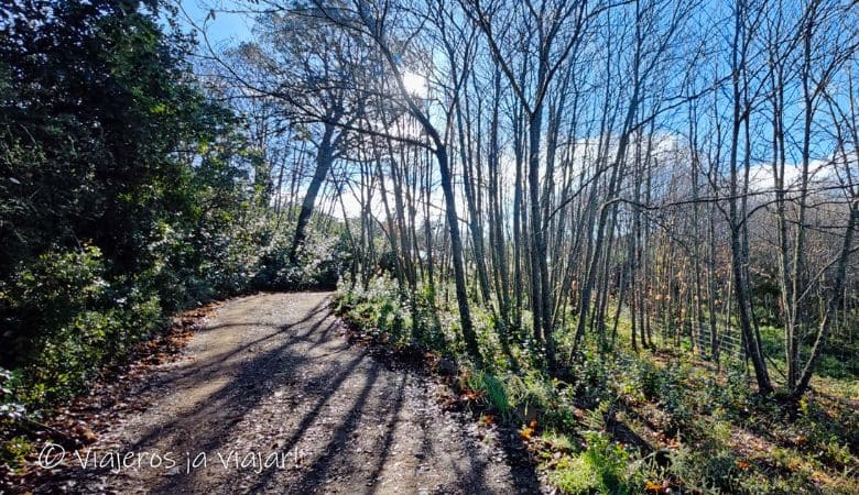 Sendero Los Castanares norte