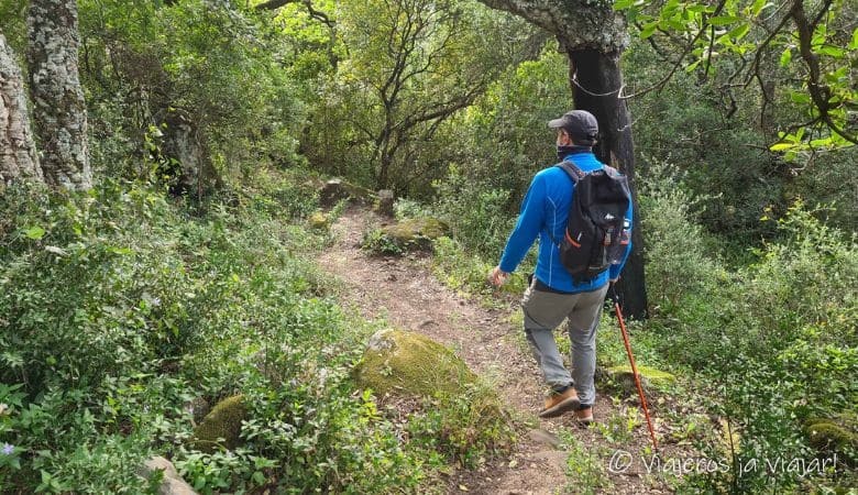Caminando por el sendero