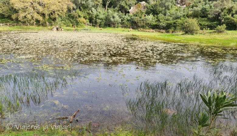Laguna de El Picacho