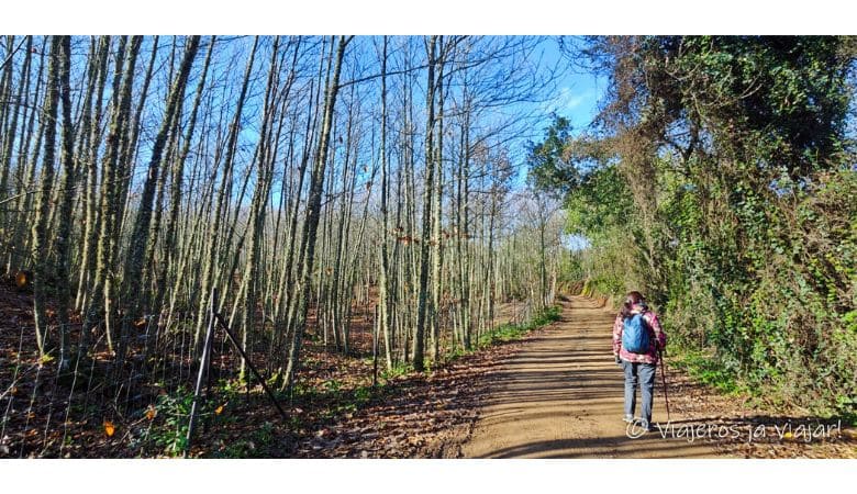 Sendero de los Castañares en Sierra Morena de Sevilla 4 Los Castañares, Sierra Norte de Sevilla