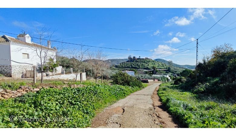 Sendero de los Castañares en Sierra Morena de Sevilla 7 Subida al castillo Constantina