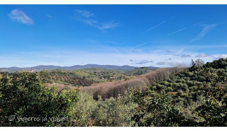 Sendero de los Castañares en Sierra Morena de Sevilla 6 Sierra Norte