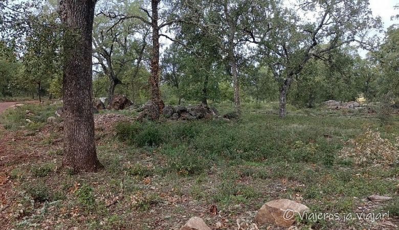 Sendero Cerro del Hierro | Sierra Morena de Sevilla 9 Sendero El Rebollar