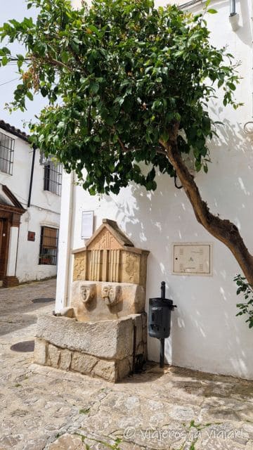 Barrio Alto Grazalema