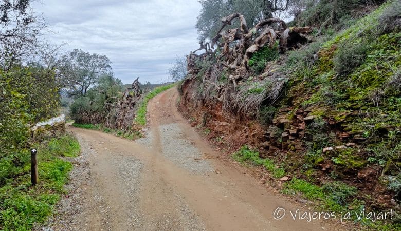Continuacion del sendero Los Molinos Molinos