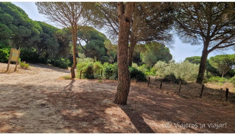 Caños de Meca y Zahora, plan ideal con niños