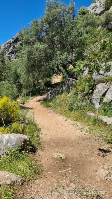 Cueva de la Pileta con niños: naturaleza y arte rupestre en Málaga