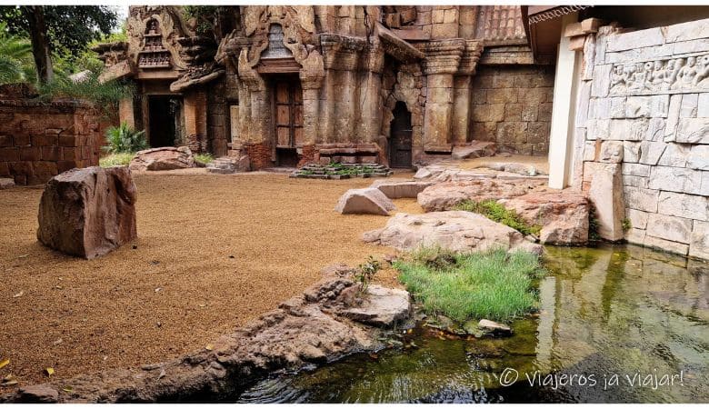 Visita al Bioparc en Fuengirola